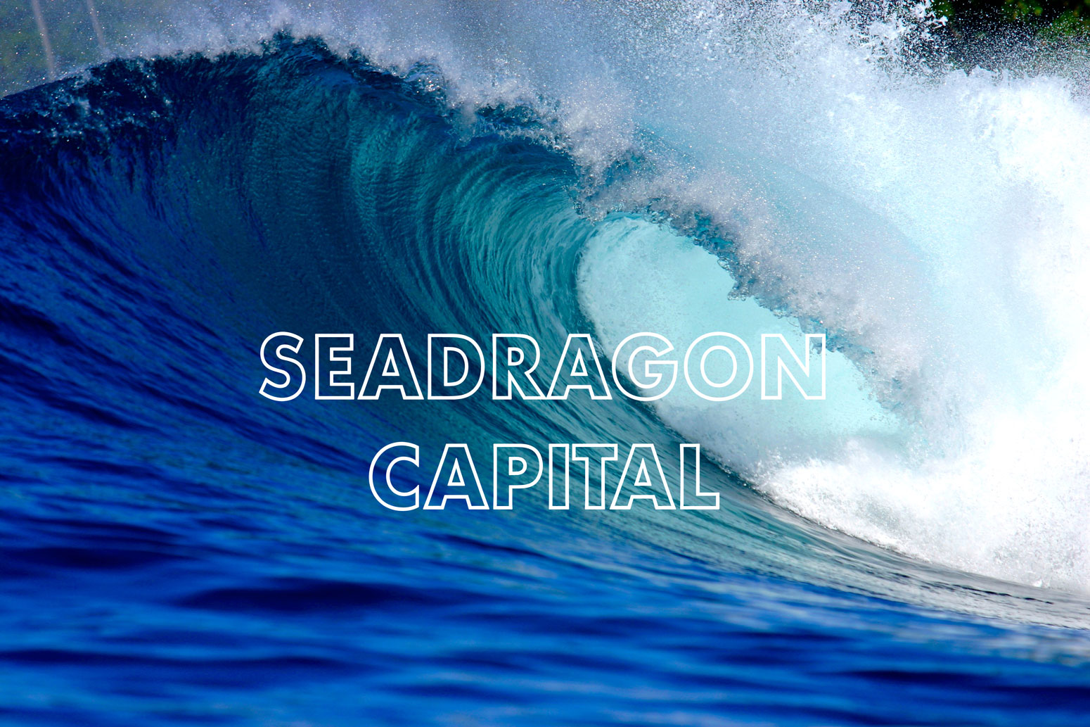 Seadragon Capital
